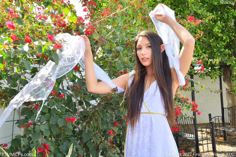 Elf Penetration Play