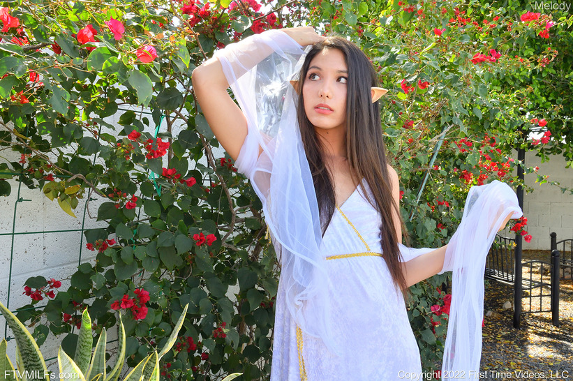 Elf Penetration Play