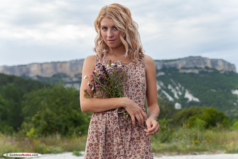 Wildflowers
