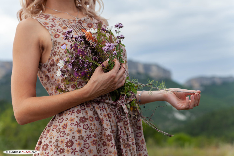 Wildflowers