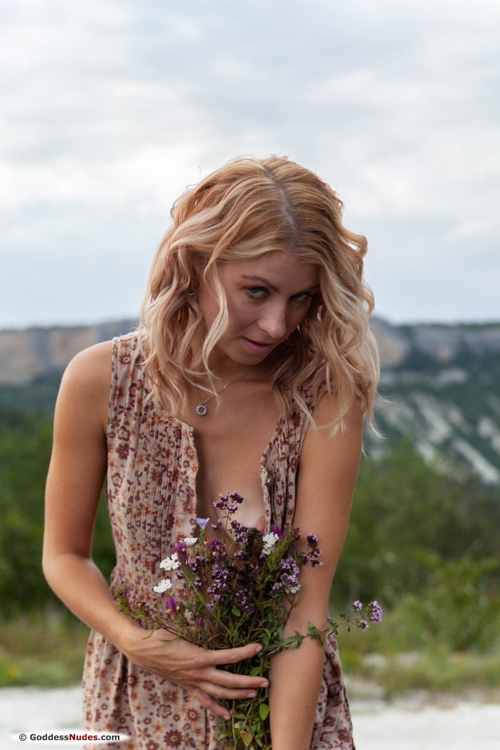 Wildflowers