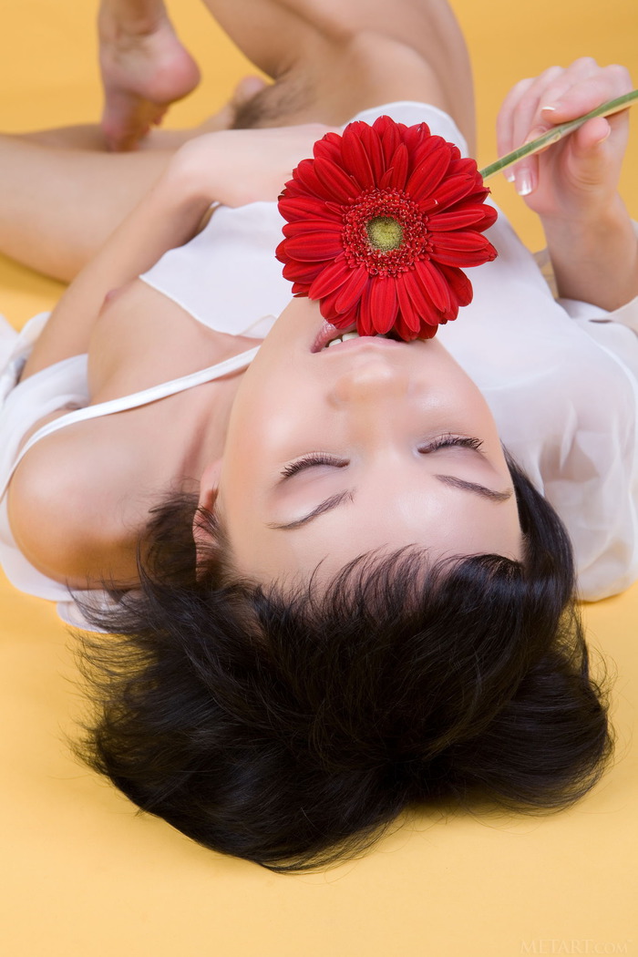 Loreen A Red Flower