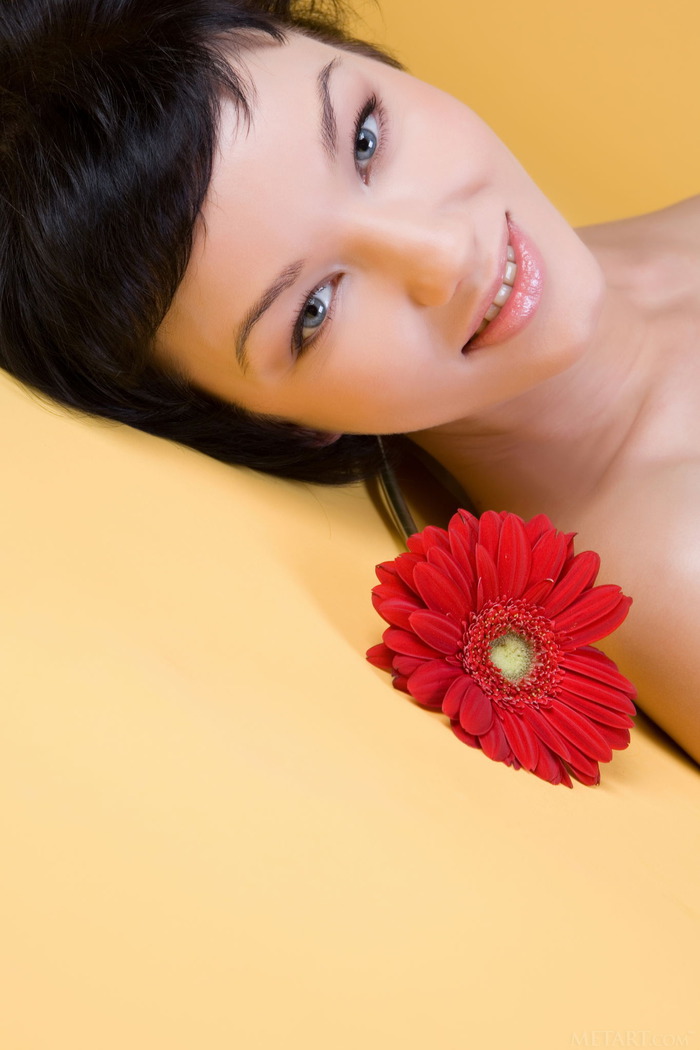 Loreen A Red Flower