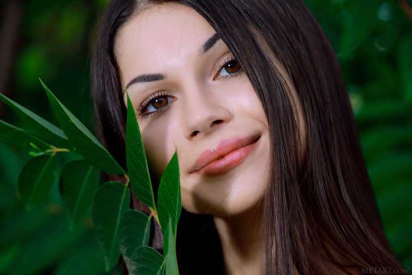Pure Leaf