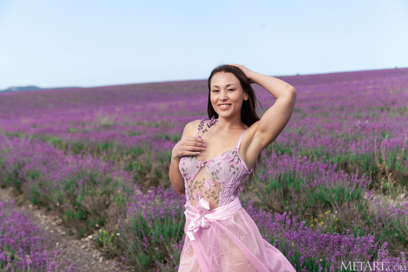 Lavender Fields