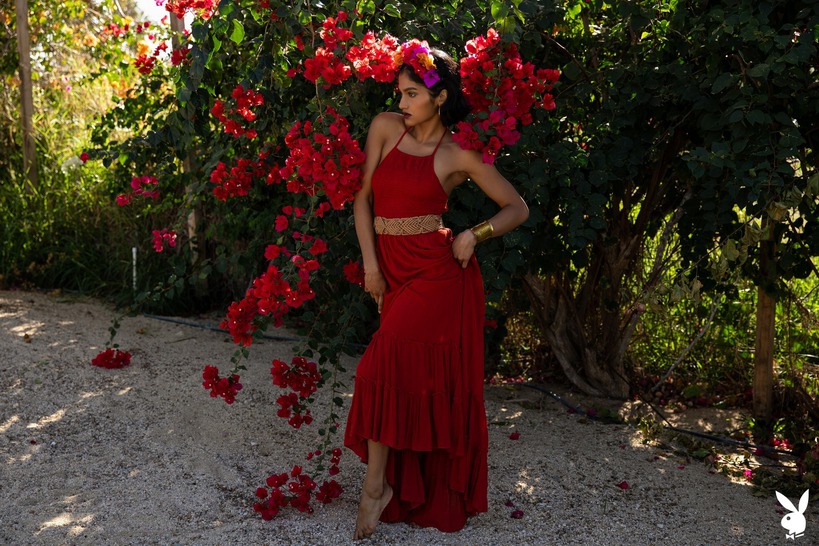 Bright and Blooming - picture 1