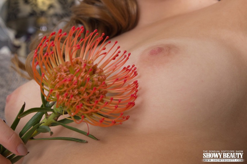 Eveline In Get Stupid